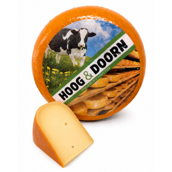 Goudse Belegen