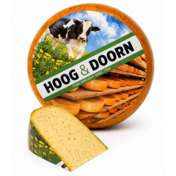 Hele komijne kaas jong belegen
