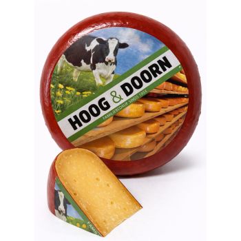 Extra overjarige Noord-Hollandse