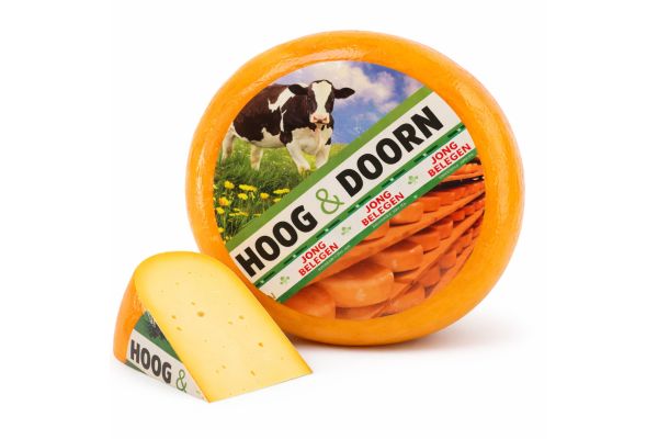 Magere jong belegen hele kaas