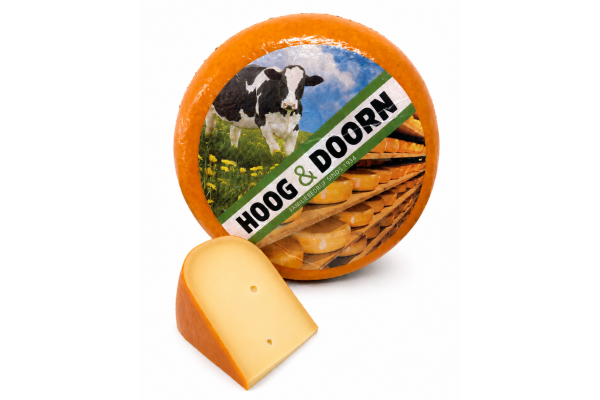 Goudse Belegen