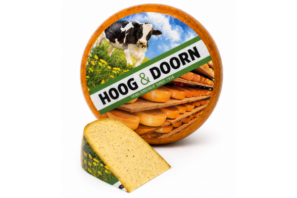 Hele komijne kaas jong belegen