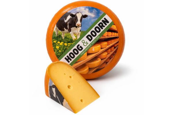 Pittige Noord-Hollandse