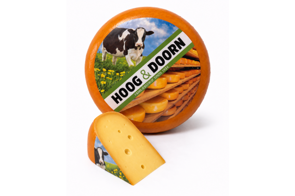 Pittige noord-holland