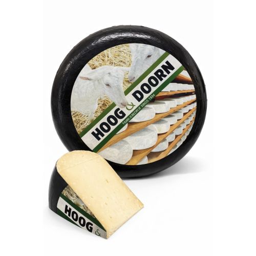 Hollandse oude geitenkaas | Hele kaas