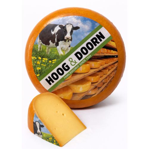 Oude Noord-Hollandse | Hele kaas